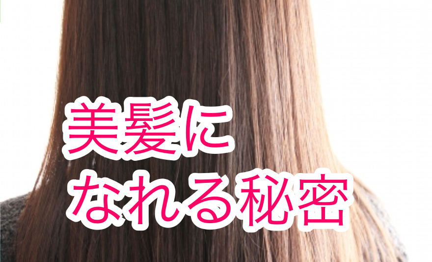 感動 髪をツヤツヤにする方法 30代の妹 ４０代の私 ７０代の母がヘビロテ 毎日好きなコト